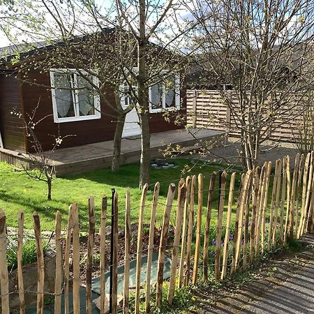 Chalet Charmant Monika Avec Piscine Yvoir 外观 照片